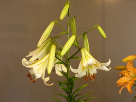 Foto: Dr. Peter Müller